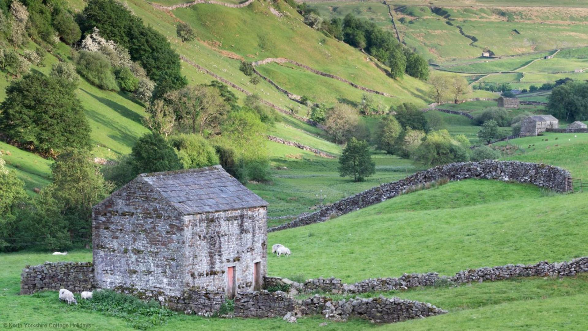 Stone Cottage In Picturesque North Yorkshire Village - Bull Dog Cottage Ampleforth Екстер'єр фото